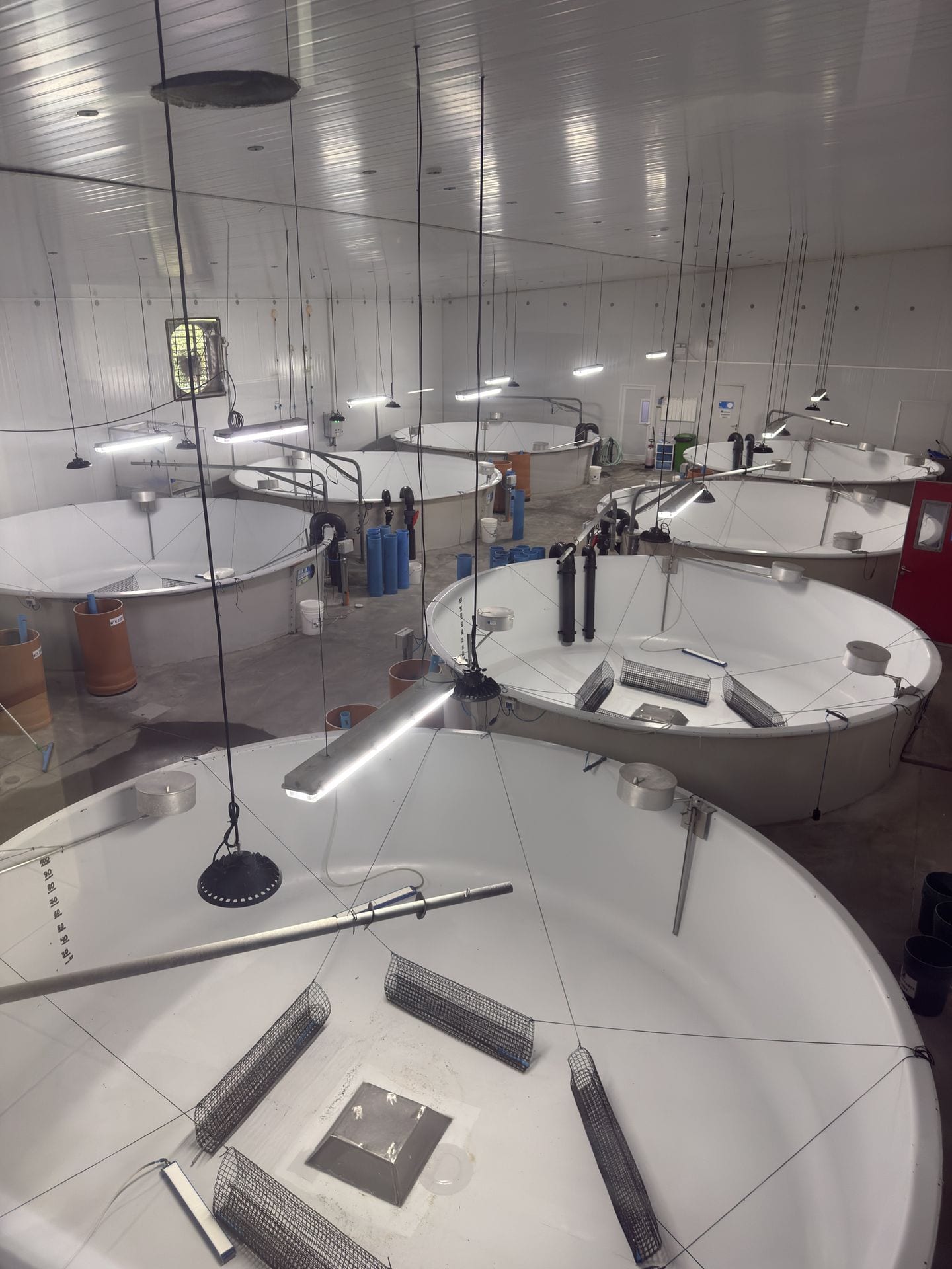 Aquaculture tanks with monitoring systems